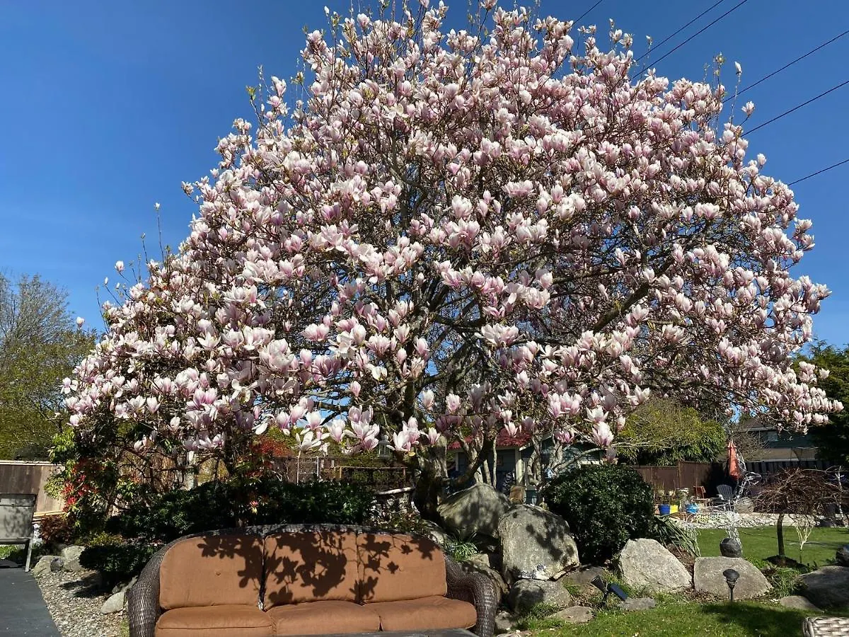 Xanadu 世外桃源 Villa Tsawwassen 0*,  Canada